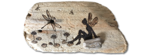 Driftwood Signs by Shelly Shrock